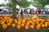 北山ハロウィン