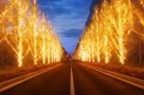 image_gallery